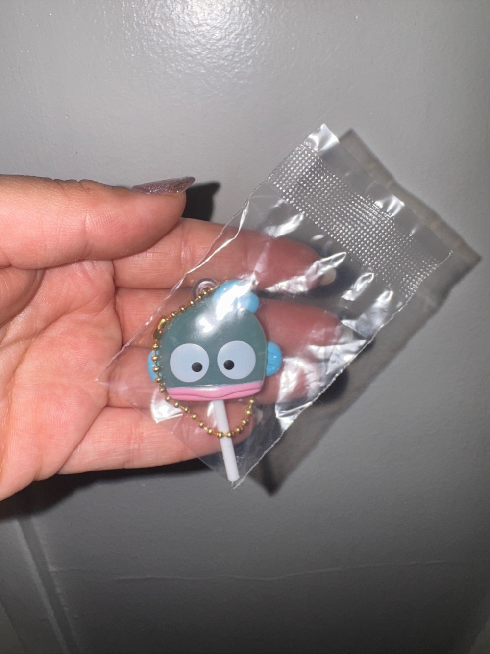 Hangydon Lollipop Gachapon